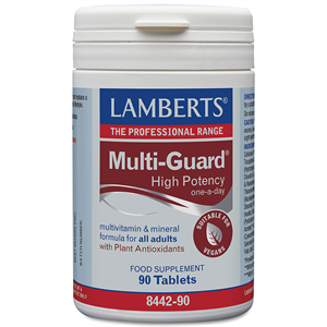 LAMBERTS Multi-Guard High Potency One a Day Tablets - 90
